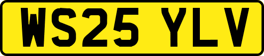 WS25YLV