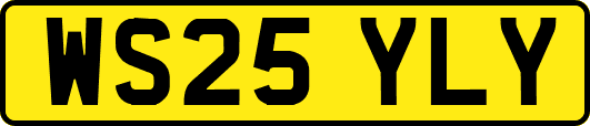 WS25YLY