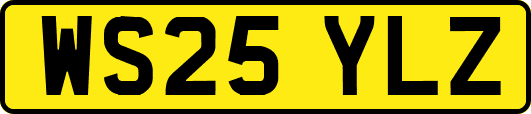 WS25YLZ