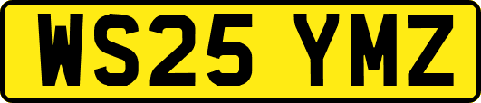 WS25YMZ