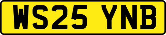 WS25YNB