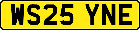 WS25YNE