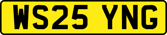 WS25YNG