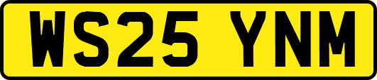 WS25YNM