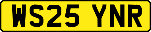 WS25YNR