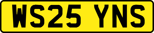 WS25YNS
