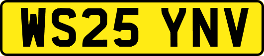 WS25YNV