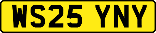 WS25YNY