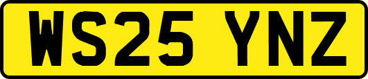 WS25YNZ