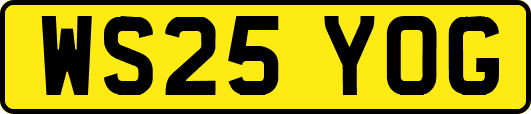 WS25YOG