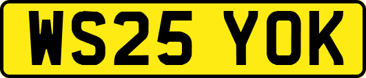 WS25YOK
