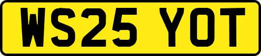 WS25YOT