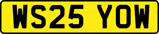 WS25YOW