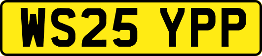 WS25YPP