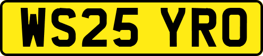 WS25YRO
