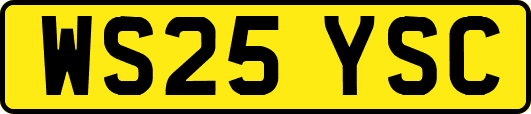 WS25YSC