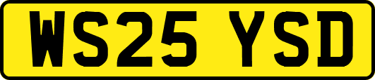 WS25YSD