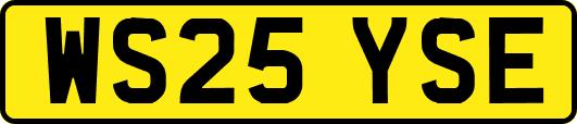 WS25YSE
