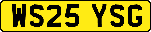 WS25YSG