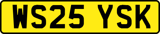 WS25YSK