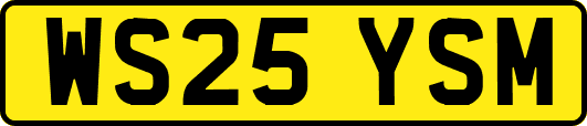 WS25YSM