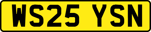 WS25YSN