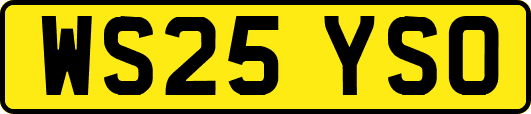 WS25YSO
