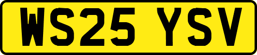 WS25YSV