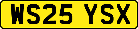WS25YSX