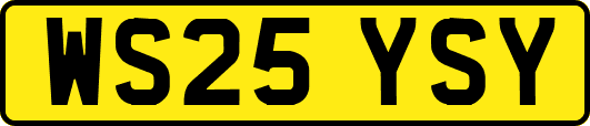 WS25YSY