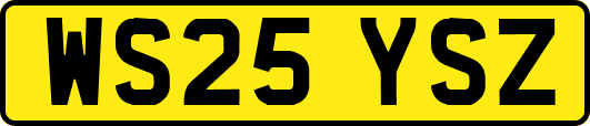 WS25YSZ