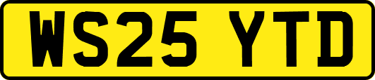 WS25YTD