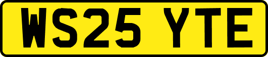 WS25YTE