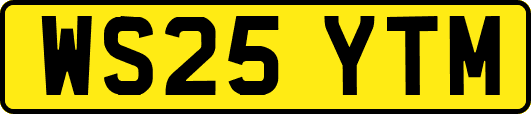 WS25YTM