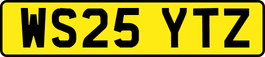 WS25YTZ