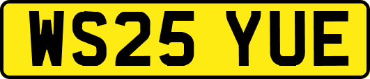 WS25YUE