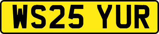 WS25YUR
