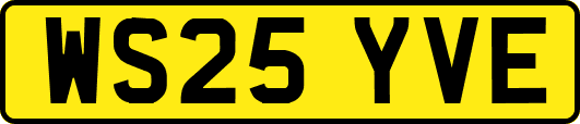 WS25YVE