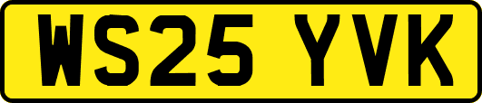 WS25YVK