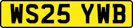 WS25YWB