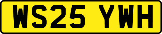 WS25YWH