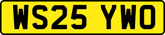 WS25YWO