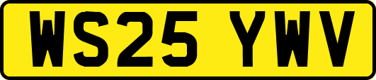 WS25YWV