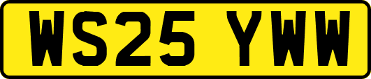 WS25YWW