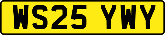 WS25YWY