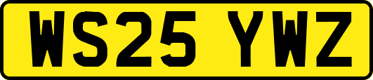 WS25YWZ