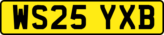 WS25YXB