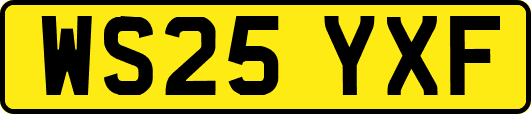 WS25YXF