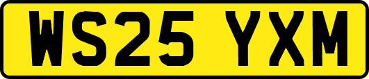 WS25YXM