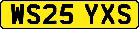 WS25YXS